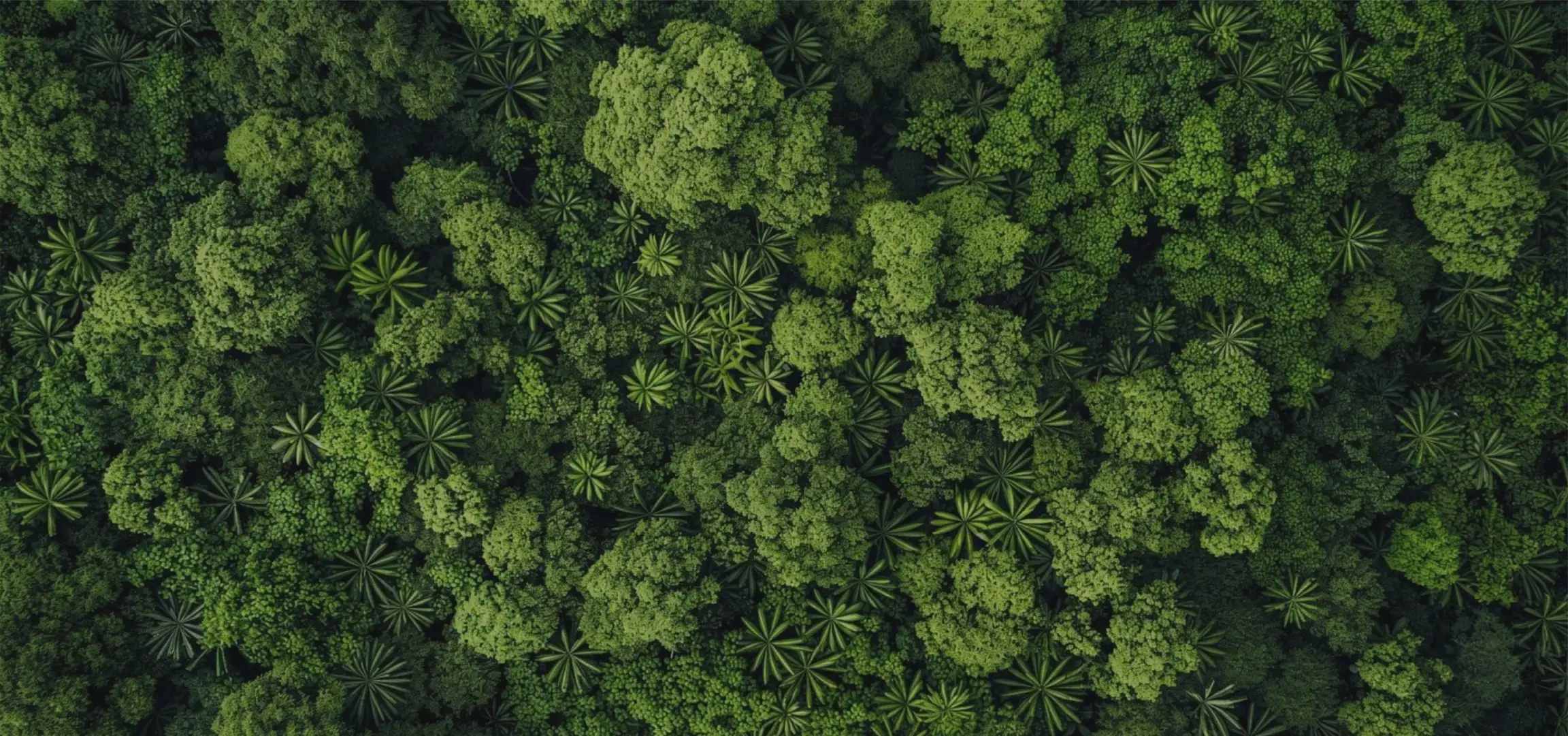 成为伙伴头部背景